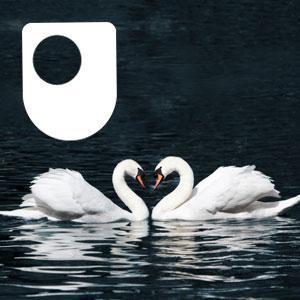 The Philosophy of Love - Audio by The Open University
