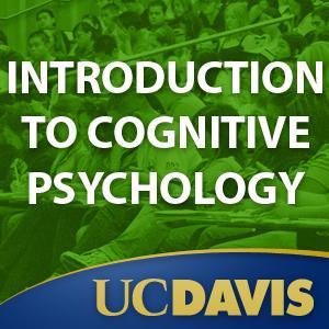 PSC100 - Introduction to Cognitive Psychology by Victoria Cross