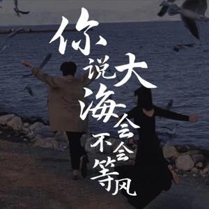 情感夜话 | 你说大海会不会等风 by 北络_