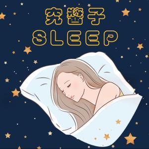 究醬子睡著了 Sleep Eventually by 究醬子・斐恩