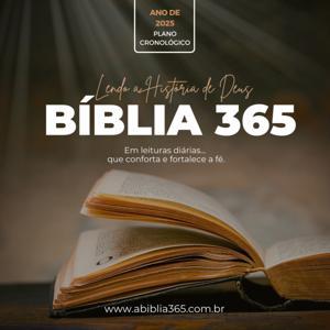 Bíblia 365 – Lendo a História de Deus by Felipe
