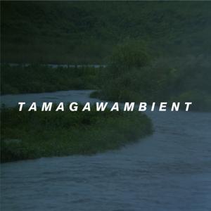 TAMAGAWAMBIENT(多摩川アンビエント) by 多摩川を愛でる会