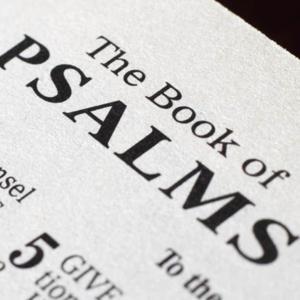 Scripture Reading by Porterfield Baptist Church