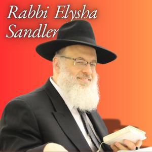 Rabbi Elysha Sandler by Rabbi Elysha Sandler