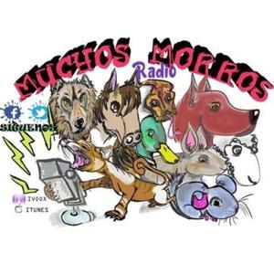 Muchos Morros by Radio San Vicente