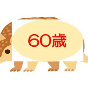 60歳のアルマジロ by ワンマン係長