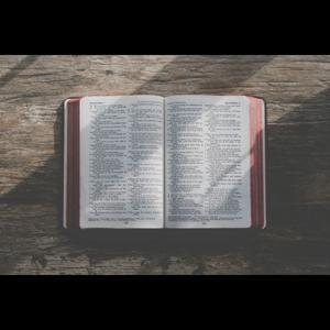 Bible Classes - OABS.org by oabs-fall-semester