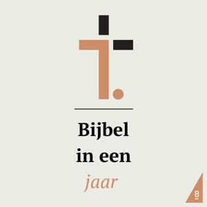 Bijbel in een jaar by Nederlands-Vlaams Bijbelgenootschap