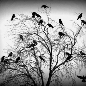 Hearth, Home and Homicide by Andy, Bridget and Caroline