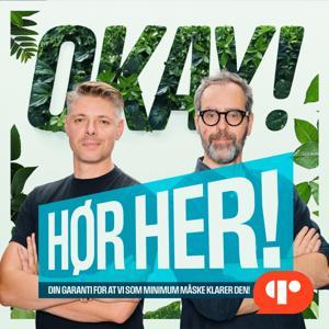 OKAY! HØR HER! by Denis Rivin & Anders Morgenthaler