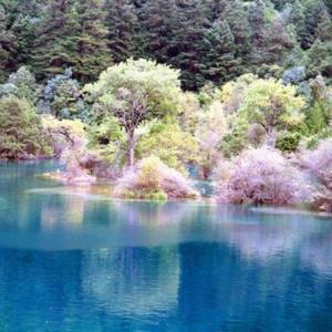 语文课文一年级(上册) by 盖拉蒂2021