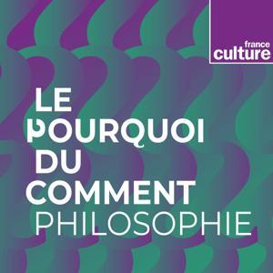 Le Pourquoi du comment : philosophie by France Culture