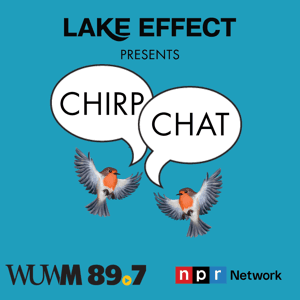 Chirp Chat by WUWM 89.7 FM - Milwaukee's NPR