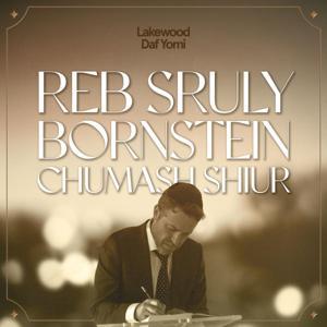 Chumash Shiur by Sruly Bornstein