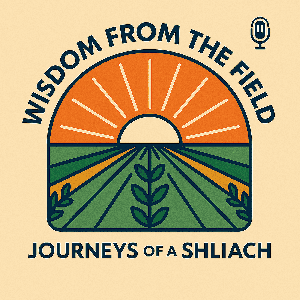 Wisdom from the Field By Tzviki Krasnjansky by coachingbytzviki