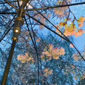 是翻唱合集啊 by 吾乃斑榴是也