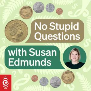 No Stupid Questions with Susan Edmunds by RNZ