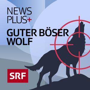 News Plus Hintergründe by Schweizer Radio und Fernsehen (SRF)
