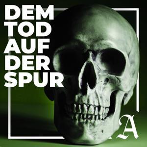 Dem Tod auf der Spur: Die Jagd nach dem Täter by Hamburger Abendblatt