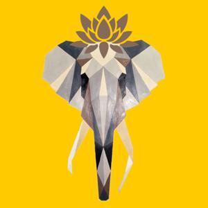 Mesele Buysa by Mesele Buysa