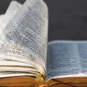 Reading the Bible Out Loud by Reading the Bible Out Loud